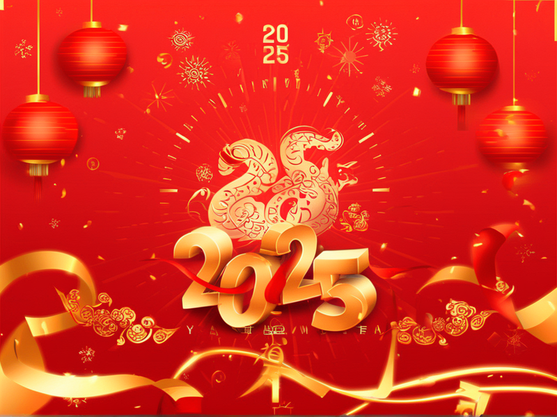 祥龍回首辭舊歲，金蛇起舞迎新年——太航德克森2024回顧及2025寄語